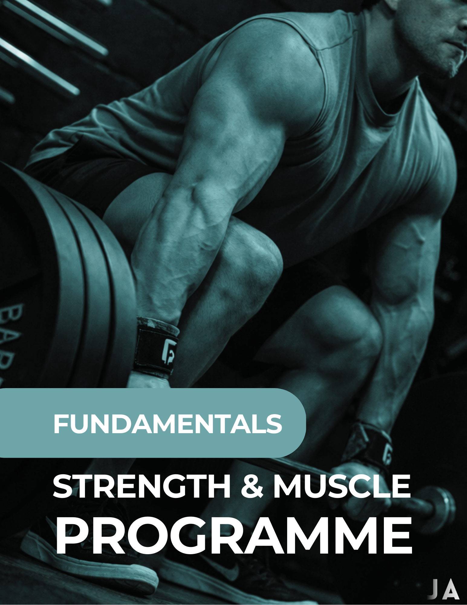 FUNDAMENTALS - Full body 3 day / week