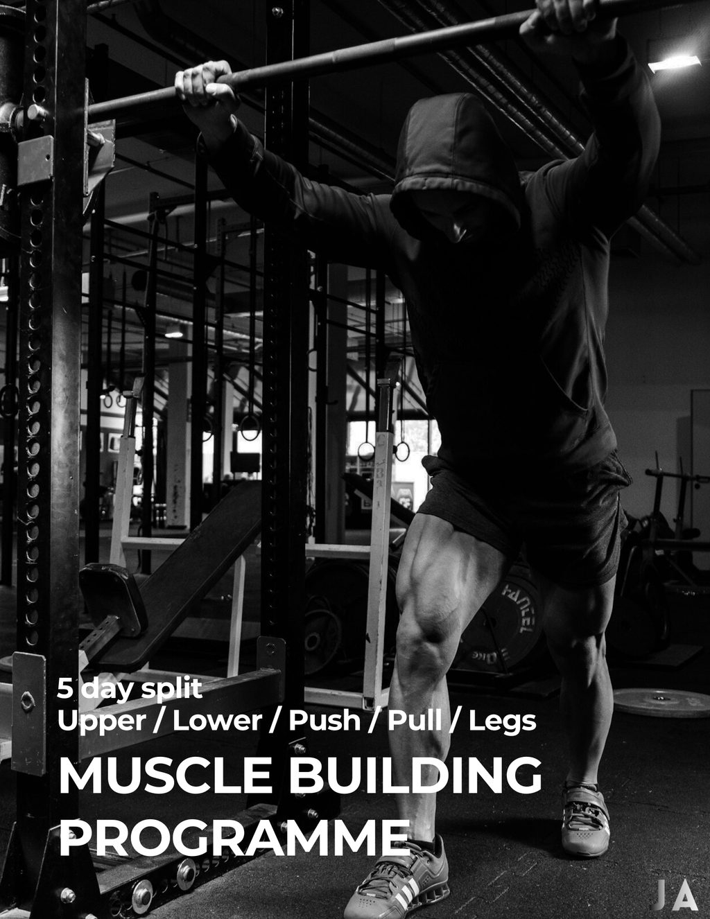 5 Day Split - Muscle Building Programme